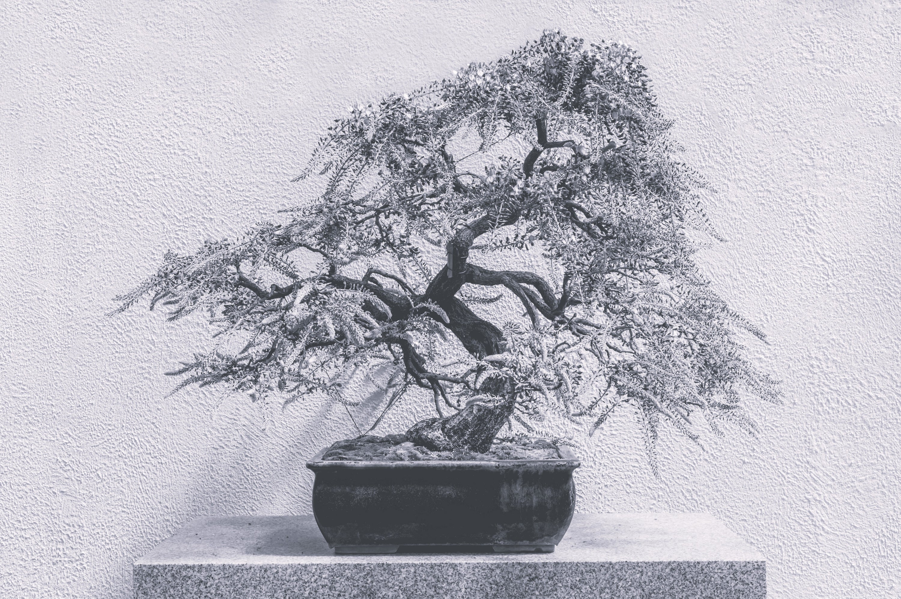 It’s ok to grow slow